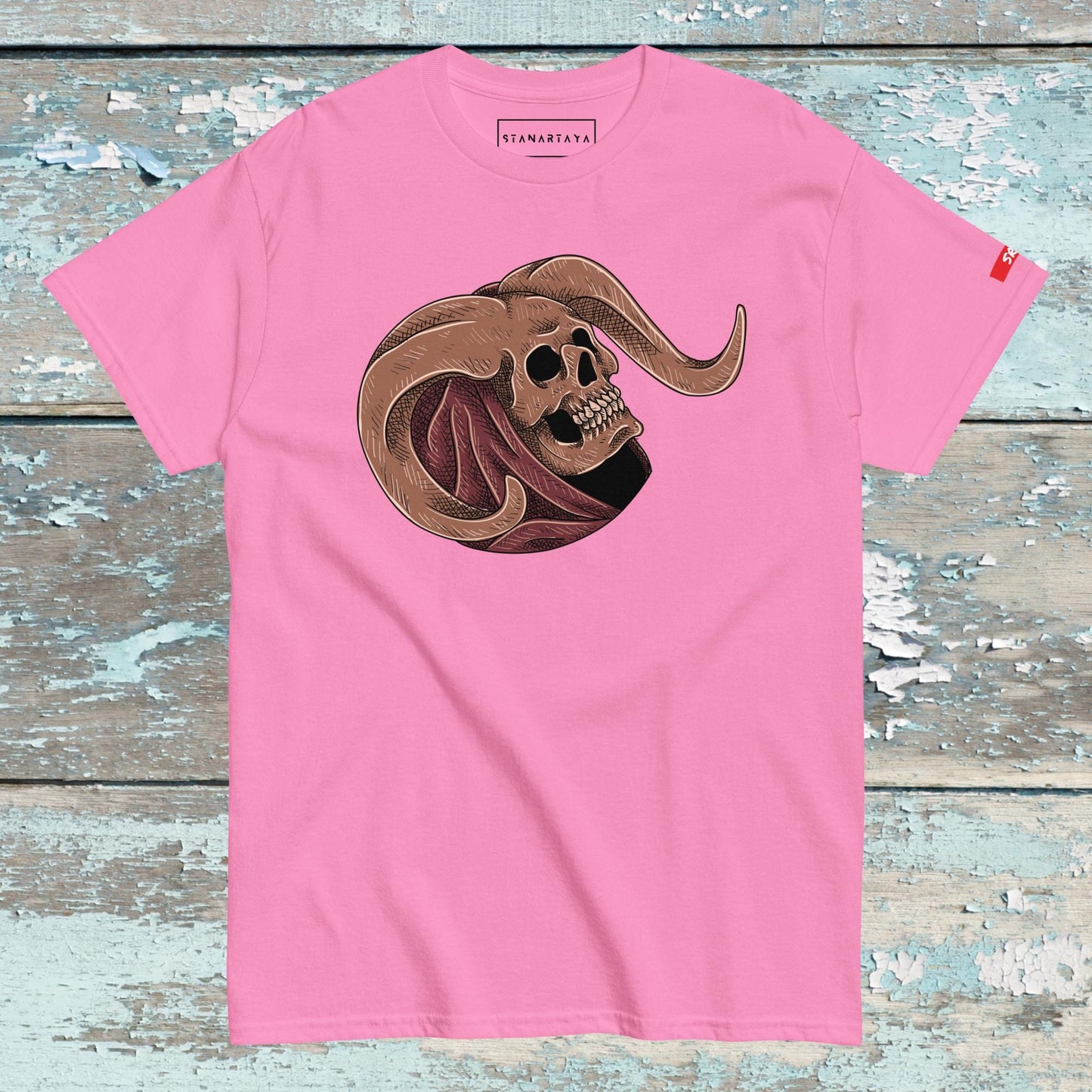 Hurned Skull with cloak Tee